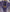 genshin columbina cos dress chest moon accessory close up detail