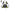 hsr female trailblazer cosplay costume set with matching grey long wig front shot