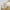close‑up of white tassel epaulet shoulder decoration abel costume