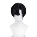 anime-ivan-cosplay-wig