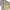 Madoka Magica cosplay dress uniform top showcase