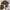 close‑up details of edogawa rampo brown cloak and fabric stitching