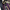 Jinxx cosplay purple costume details showcase