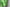 close‑up view of the green coat sleeve cuff of natsuki subaru cos outfit