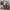detailed close‑ups of shirt collar short sleeve and front buttons of silent hill nurse cosplay